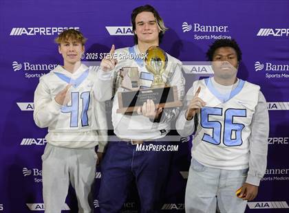 Thumbnail 3 in Mica Mountain vs. Arcadia (AIA 4A Final Awards) photogallery.