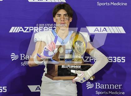 Thumbnail 3 in Mica Mountain vs. Arcadia (AIA 4A Final Awards) photogallery.