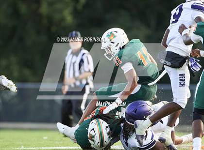 Thumbnail 3 in Fletcher @ Mandarin photogallery.