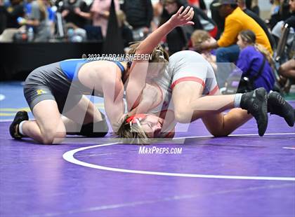 Thumbnail 1 in 2023 KC Stampede photogallery.