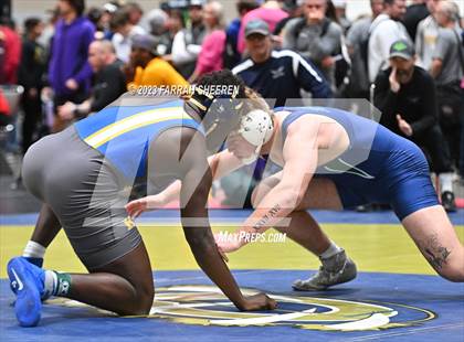 Thumbnail 1 in 2023 KC Stampede photogallery.