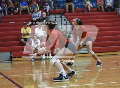 Thumbnail 3 in Sullivan Central @ Sullivan East photogallery.