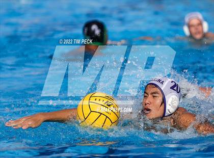 Thumbnail 3 in Marina @ Costa Mesa photogallery.