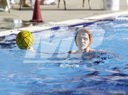 Thumbnail 1 in O'Connor vs Marshall photogallery.