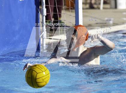 Thumbnail 2 in O'Connor vs Marshall photogallery.