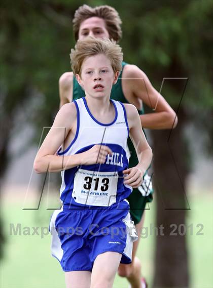 Thumbnail 3 in NYSPHSAA Cross Country Championship (Boys Class B) photogallery.