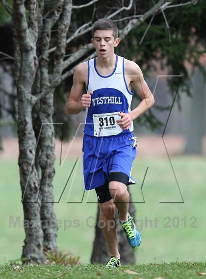 Thumbnail 3 in NYSPHSAA Cross Country Championship (Boys Class B) photogallery.