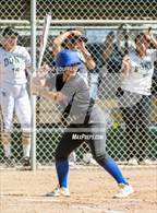 Photo from the gallery "Channel Islands @ Santa Barbara"