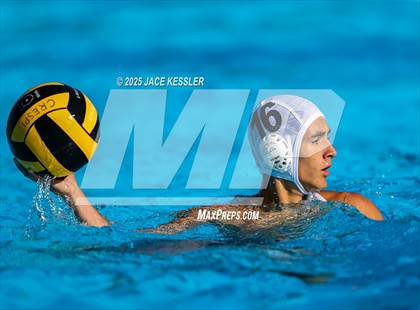 Thumbnail 1 in Oak Park @ Crespi photogallery.