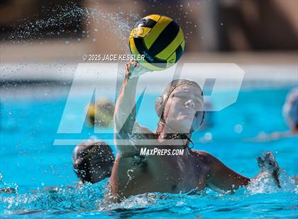 Thumbnail 1 in Oak Park @ Crespi photogallery.