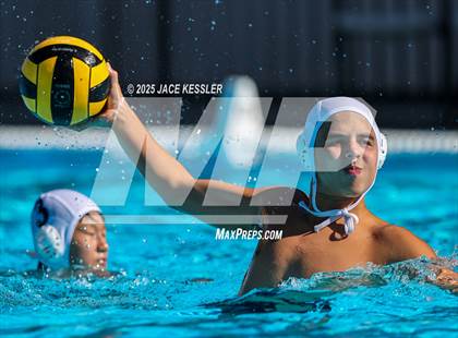 Thumbnail 2 in Oak Park @ Crespi photogallery.