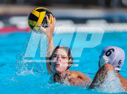 Thumbnail 3 in Oak Park @ Crespi photogallery.