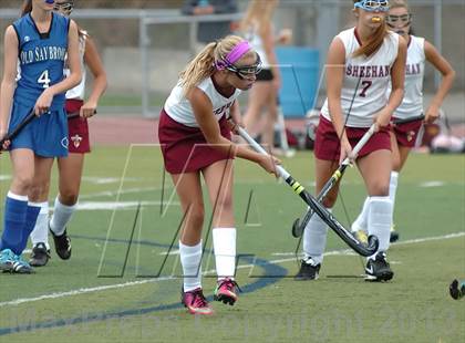 Thumbnail 1 in Old Saybrook @ Sheehan photogallery.