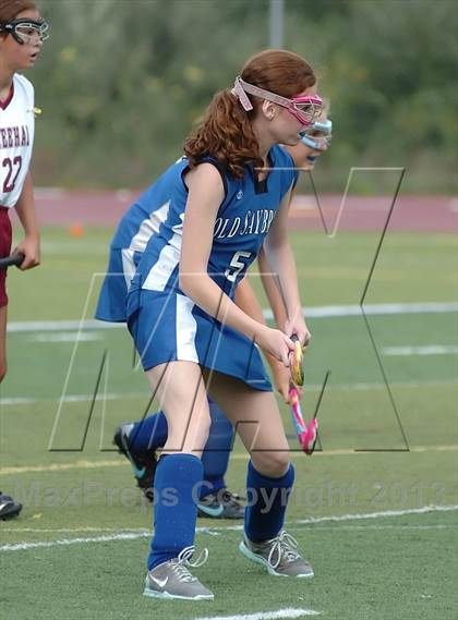 Thumbnail 1 in Old Saybrook @ Sheehan photogallery.
