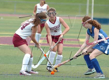 Thumbnail 2 in Old Saybrook @ Sheehan photogallery.