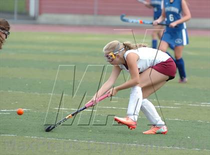 Thumbnail 1 in Old Saybrook @ Sheehan photogallery.