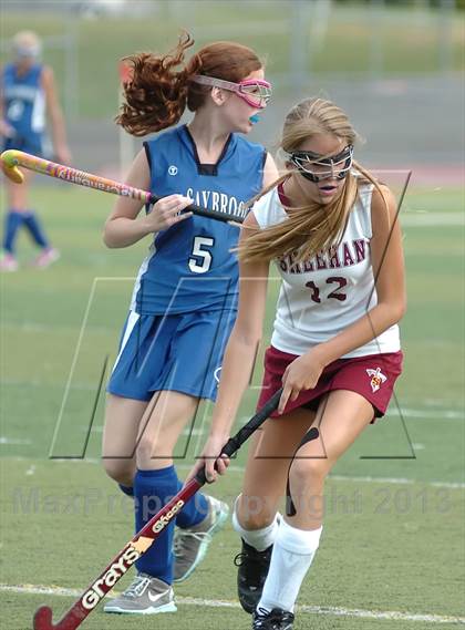 Thumbnail 1 in Old Saybrook @ Sheehan photogallery.