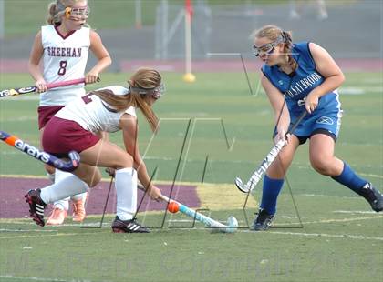 Thumbnail 2 in Old Saybrook @ Sheehan photogallery.