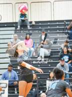 Photo from the gallery "Shadow Creek @ Alvin"