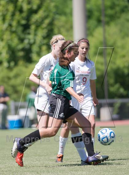 Thumbnail 1 in Cardinal Gibbons vs. St. Stephens (NCHSAA 3A Final) photogallery.