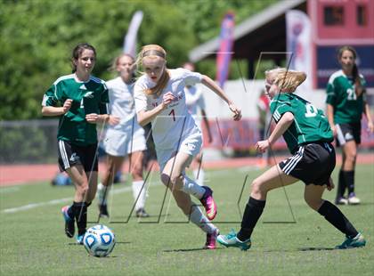 Thumbnail 2 in Cardinal Gibbons vs. St. Stephens (NCHSAA 3A Final) photogallery.