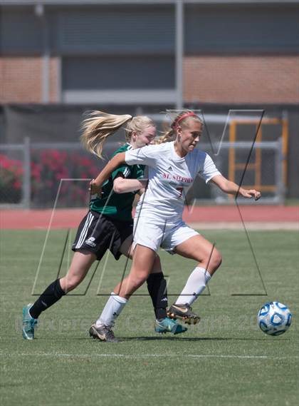 Thumbnail 2 in Cardinal Gibbons vs. St. Stephens (NCHSAA 3A Final) photogallery.