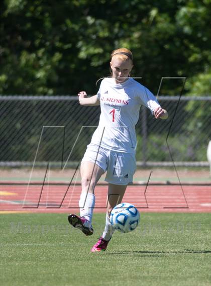 Thumbnail 2 in Cardinal Gibbons vs. St. Stephens (NCHSAA 3A Final) photogallery.