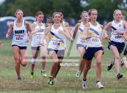 Thumbnail 2 in UIL Cross Country 5A Finals (5K) photogallery.