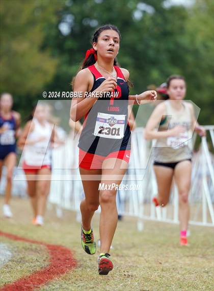 Thumbnail 1 in UIL Cross Country 5A Finals (5K) photogallery.