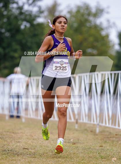 Thumbnail 1 in UIL Cross Country 5A Finals (5K) photogallery.