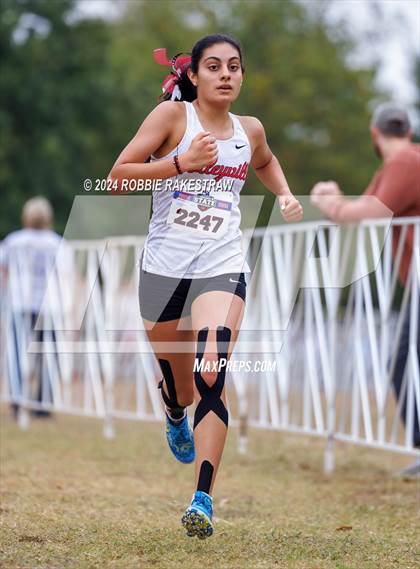 Thumbnail 3 in UIL Cross Country 5A Finals (5K) photogallery.