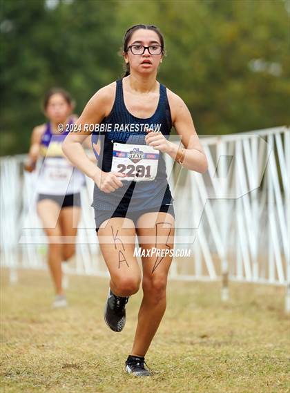 Thumbnail 3 in UIL Cross Country 5A Finals (5K) photogallery.