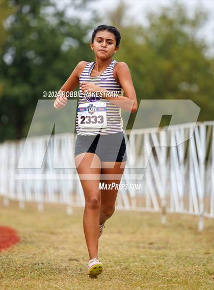 Thumbnail 3 in UIL Cross Country 5A Finals (5K) photogallery.