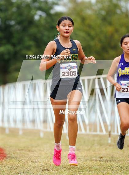 Thumbnail 2 in UIL Cross Country 5A Finals (5K) photogallery.