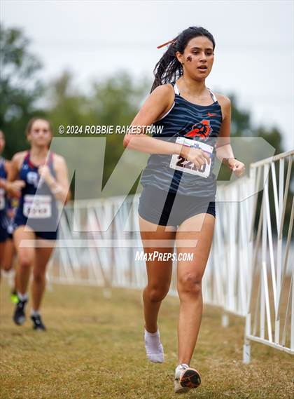 Thumbnail 2 in UIL Cross Country 5A Finals (5K) photogallery.