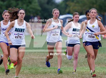 Thumbnail 1 in UIL Cross Country 5A Finals (5K) photogallery.