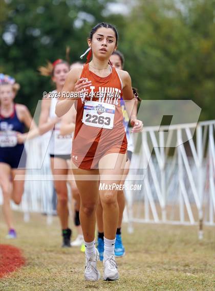 Thumbnail 3 in UIL Cross Country 5A Finals (5K) photogallery.