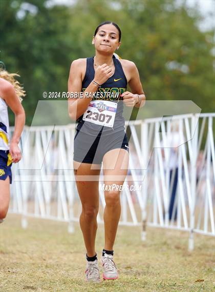 Thumbnail 2 in UIL Cross Country 5A Finals (5K) photogallery.