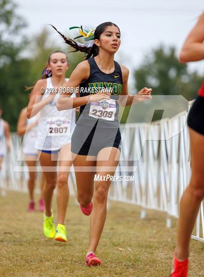 Thumbnail 1 in UIL Cross Country 5A Finals (5K) photogallery.