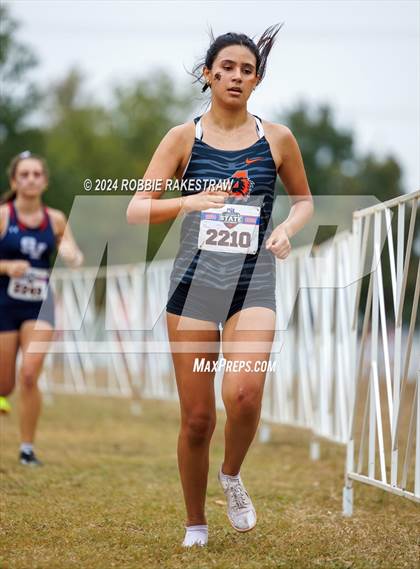 Thumbnail 1 in UIL Cross Country 5A Finals (5K) photogallery.