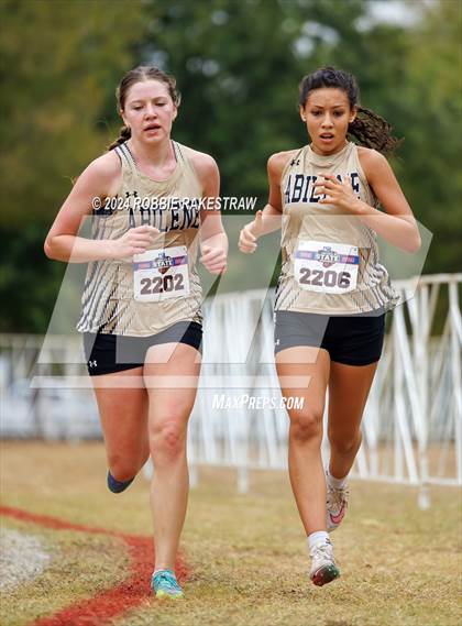 Thumbnail 2 in UIL Cross Country 5A Finals (5K) photogallery.