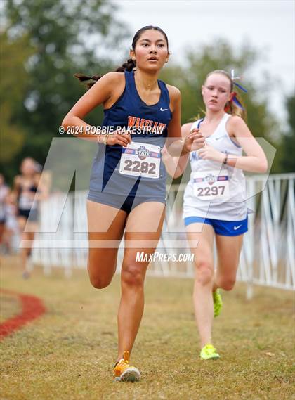 Thumbnail 2 in UIL Cross Country 5A Finals (5K) photogallery.