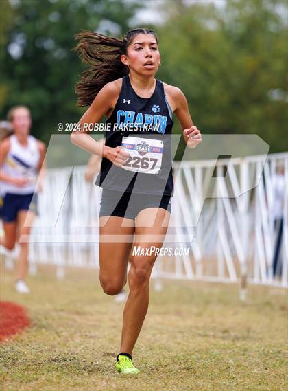 Thumbnail 2 in UIL Cross Country 5A Finals (5K) photogallery.