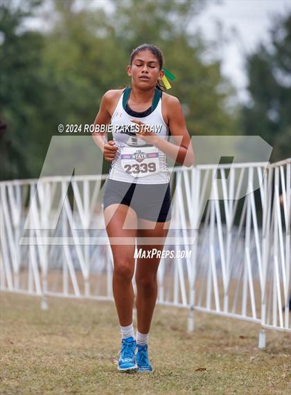 Thumbnail 2 in UIL Cross Country 5A Finals (5K) photogallery.