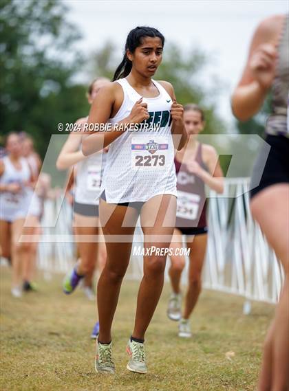 Thumbnail 3 in UIL Cross Country 5A Finals (5K) photogallery.