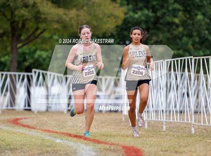 Thumbnail 1 in UIL Cross Country 5A Finals (5K) photogallery.