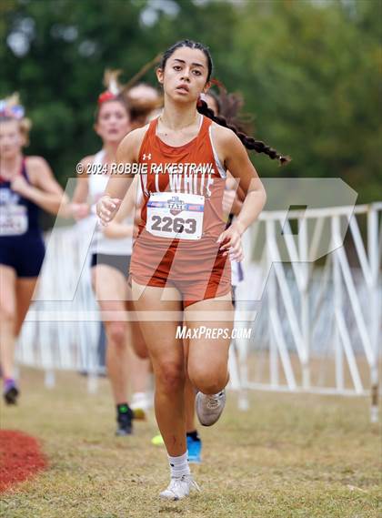 Thumbnail 1 in UIL Cross Country 5A Finals (5K) photogallery.