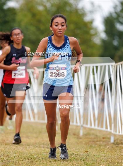 Thumbnail 1 in UIL Cross Country 5A Finals (5K) photogallery.