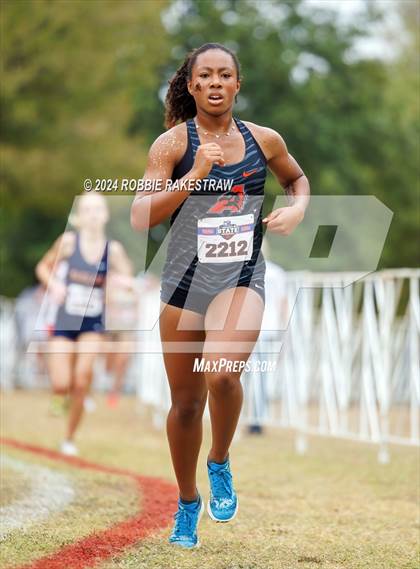 Thumbnail 2 in UIL Cross Country 5A Finals (5K) photogallery.