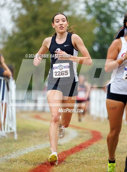 Thumbnail 3 in UIL Cross Country 5A Finals (5K) photogallery.
